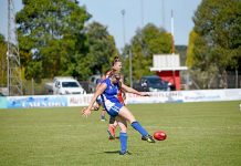 Star Eagle catches coaching panel’s eye Alexandria Ey Dsc 7406 TBW Newsgroup