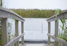 Park access worry Ewens Ponds TBW Newsgroup