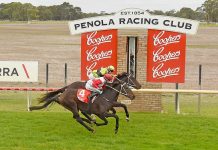 Farooq wins Penola Easter meeting’s feature race Farooq Penola Cup Win20200412crop TBW Newsgroup