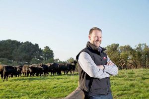 Scottdebruinweb TBW Newsgroup