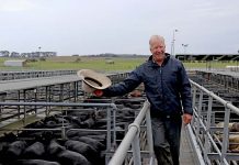 Heavy falls make Limestone Coast farmers happy again Chris Manser TBW Newsgroup