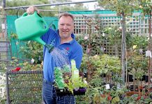 Nursery records fruitful sales Gardinarium Calum Haygarth TBW Newsgroup