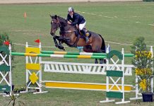 Country competitors feel impact from city Royal Adelaide Show cancellation Kirsty Bruihn TBW Newsgroup