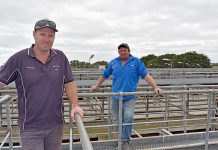 Tradition to end with new sale date Robbins Robinson One TBW Newsgroup