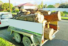 Excessive wood loads targeted 6 Aug Trailer 30482 17093 TBW Newsgroup