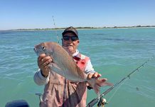 Mount Gambier MP backs push to overturn Limestone Coast snapper ban Malcolm Lockwood 220190202 TBW Newsgroup