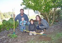 Victory Gardens established in Millicent Robinson Family Two (2) TBW Newsgroup