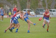 Cats ‘behind the eightball’ due to Victoria’s tight COVID-19 restrictions A Ben Guthrie Dsc 7271 TBW Newsgroup