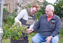 Mount Gambier residents captivated by large bagworm found dangling in garden Bagworm 2 TBW Newsgroup