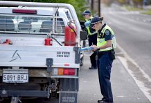 Forest industry not ‘swept up’ in border restriction Border Forestryedit2020032 TBW Newsgroup