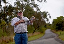 Pet snakes set loose at city lakes David Miles Centenary Tower One TBW Newsgroup