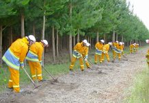 Border fire support call Firefightersweb TBW Newsgroup