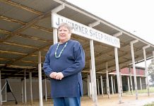 Federal fund secured for pavilion upgrades Kathy Fennell TBW Newsgroup