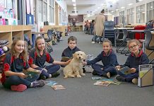 Pooch has ‘pawsitive’ influence on students Mulga Street Students With Nova TBW Newsgroup