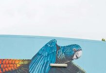 Community arts and culture insights sought Red Tail 2 TBW Newsgroup