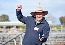 Mobile phone tower earmarked for saleyards Sam Oconnor 2 TBW Newsgroup