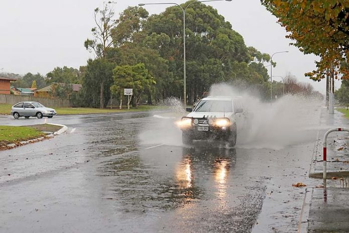 Wet Weather Driving Pic  TBW Newsgroup