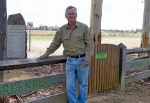 Greenrise lake regeneration concept gains support Brendan Provis TBW Newsgroup