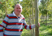 New code of practice to underpin timber processing sector David Quill TBW Newsgroup