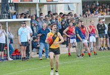 Crowd support for football games Josh Jenner Dsc 7473 TBW Newsgroup