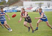 Time to plan ahead for Millicent Aa Clint Gallio, Angus Cleary Dsc 7103 TBW Newsgroup