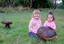 Giant mushroom discovery at Glencoe forest Evie And Audrey TBW Newsgroup