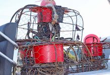 Fisheries seizes lobster pots Fisheries One TBW Newsgroup