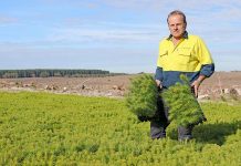 Pressure mounts to lift travel restrictions Geoff Two Seedlings TBW Newsgroup