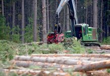 Campaign drives timber support Logging TBW Newsgroup