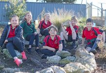 Student knowledge grows with native plant project Mac Park New Slope Development, Ava, Chloe, Beau, Luke, Braith And Hugh TBW Newsgroup