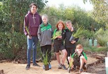 Yahl Primary School students expand learning in Term 2 Marcus, Jazmin, Logan, Hunter And Hudson TBW Newsgroup