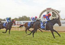 Veteran trainer holds fond memories after Millicent Cup victory Sasun TBW Newsgroup