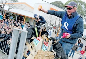 4.9.600 TBW Newsgroup