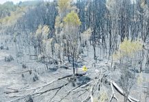 Communication upgrade recommended following blaze 7.30.600 TBW Newsgroup