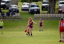 Junior football competition lights up Limestone Coast venues Ben Weedon Dsc 2344 TBW Newsgroup