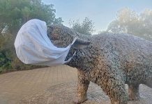 Megafauna makeover Dippy 3web TBW Newsgroup