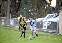 Limestone Coast soccer players tackle cold conditions in season opener Harry Wilson Dsc 9719 TBW Newsgroup