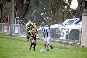 Harry Wilson Dsc 9719  TBW Newsgroup