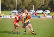 Tigers rip into opening round of Limestone Coast football season Kaleb Bowd, Will Stafford Dsc 9395 TBW Newsgroup