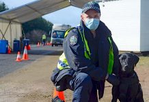 Interstate border breachers may face jail time as dog squad reports for Limestone Coast duty Pluto And Josh Bourne TBW Newsgroup