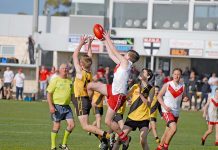 Junior football back in business A Harry Wright U14 Dsc 0251 TBW Newsgroup