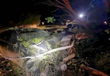 Safety message starts to sink in Crash Riddoch 2web TBW Newsgroup