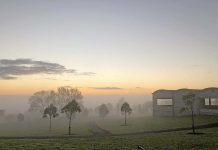 Thick fog clears for sunny winter’s day Fog Morning 3 TBW Newsgroup