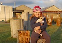 Happy ending to dog’s tale Grace And Jill TBW Newsgroup