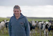 Limestone Coast farmer to lead Dairy Australia James Mann TBW Newsgroup