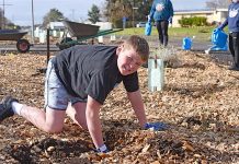 Native vegetation planted to enhance popular walking strip Jett Lewis TBW Newsgroup