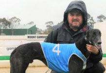 Never look a gift horse in the mouth