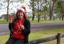 Christmas boulevard planned for city