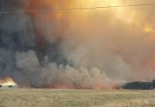 $1.1m boost for forestry fire safety