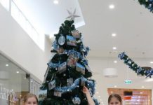 Mount Gambier tourism hotspots visited by cheeky elves and adventurous Santas